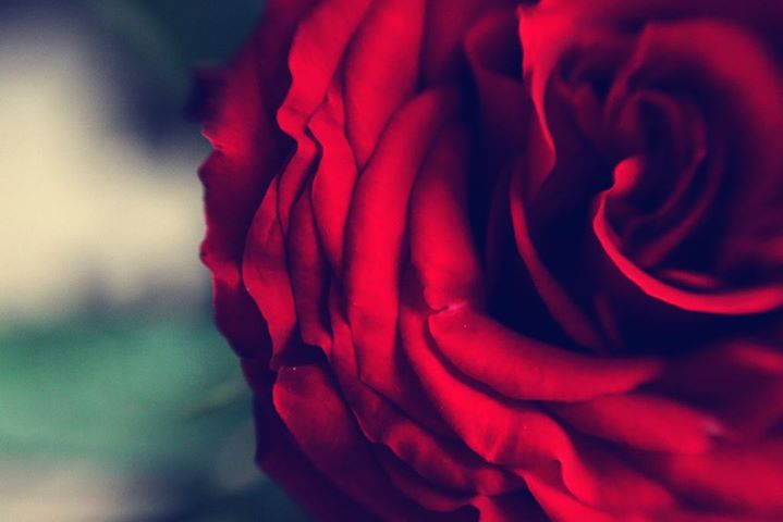 In this full day workshop you will use yogic, meditation and literary exercises to move gently through hesitation to find a deeper place from which to write and create work that is powerful, honest and passionate.