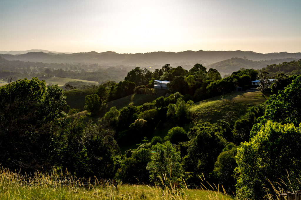 Watch the sun set over our beautiful town and lush green hinterland from Ball Lookout, on Eumundi Range Road, just minutes from Eumundi.