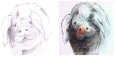 Anyone can learn how to Draw or to improve Drawing skills and this Workshop will show you how!
