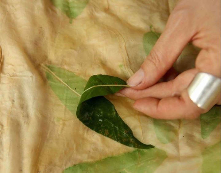 This workshop shares the process of using plant dyeing to record connection to nature and place.