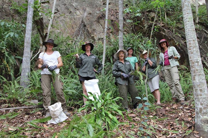 Winter Weeding in lovely Eumundi!! Hooray!