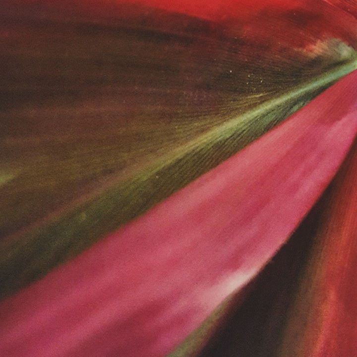 Mindfulness Photography