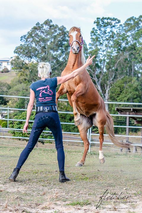 This powerful exhibit with the horses reveals simple body and energy language techniques