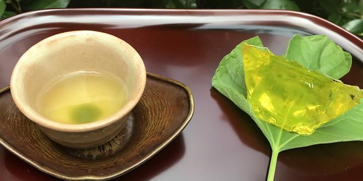 Experience Sencha-do - sencha is made through a process of steaming, pressing, rolling and drying the tea leaves.