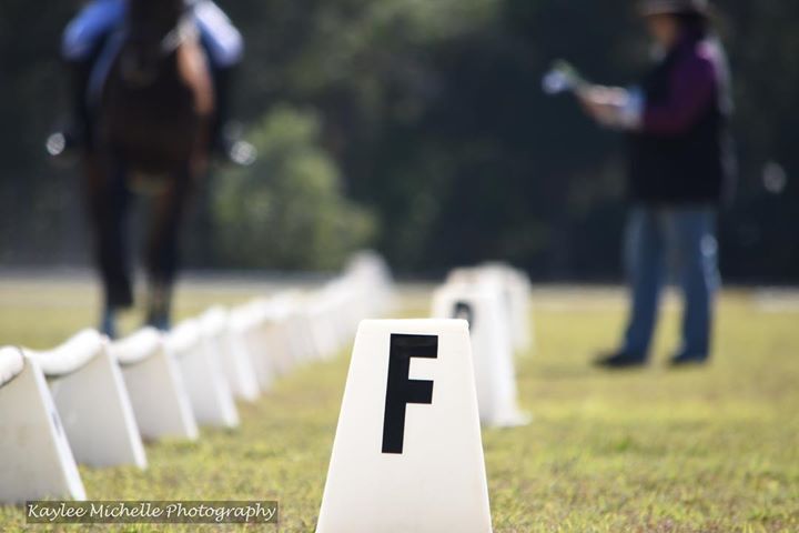 Eumundi Pony Club Dressage Muster.
