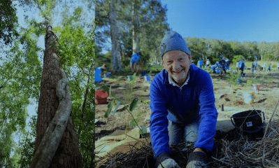 Join us for our working bee planting native trees to create a wildlife corridor.
