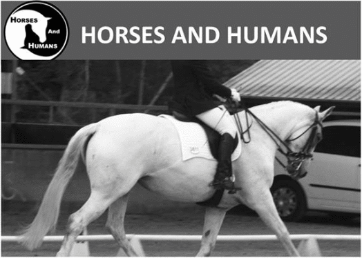 Dressage as a sport as well as those wanting to improve their riding, their horses and their competition scores.