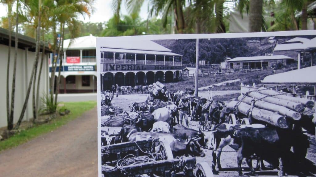 Come along on this years Eumundi Heritage Town walk and learn some of the stories behind the many historic buildings in Eumundi