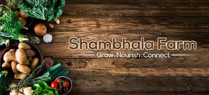 Shambhala is more than a place, it’s a way of living. Encouraging others to grow and live an inspired life through growing real food, nourishing our body & connecting with our vitality through movement.