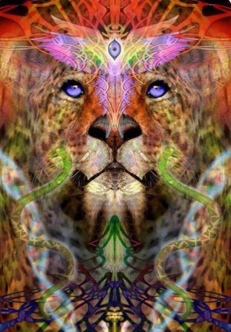Triibal Movement ~ A Shamanic Fusion Of Free Flow Yoga, Improvised Movement, Dance & Sound Healing. Lets come together and connect in a heart opening journey through Movement, Dance & Sound Healing. Get ready for some earth stomping and ground shaking movement as we travel into the depths of our mystical souls.