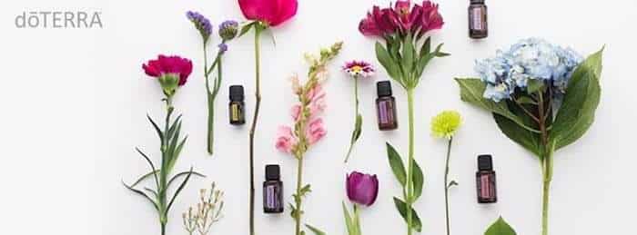 This FREE workshop will be run by health professionals, focusing on the wellness benefits of essential oils.