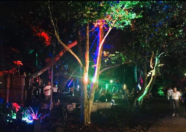 Christmas is coming, grab the family and head to the 2019 Eumundi night markets for a magical shopping experience. From 5-9pm Friday's 6th, 13th, and 20th.