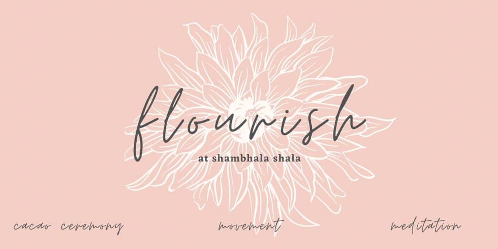 Join us on the first Friday of every month to gather in the sacred space of Shambhala Yoga Shala for Cacao Ceremony , Movement and Meditation with Amanda Kiely.
