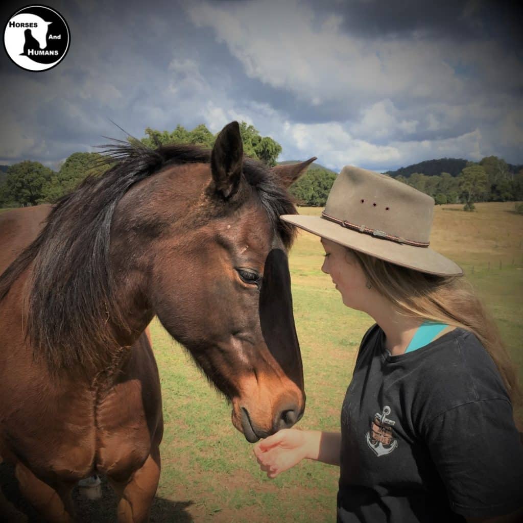 A partnership of horses and people of all ages.