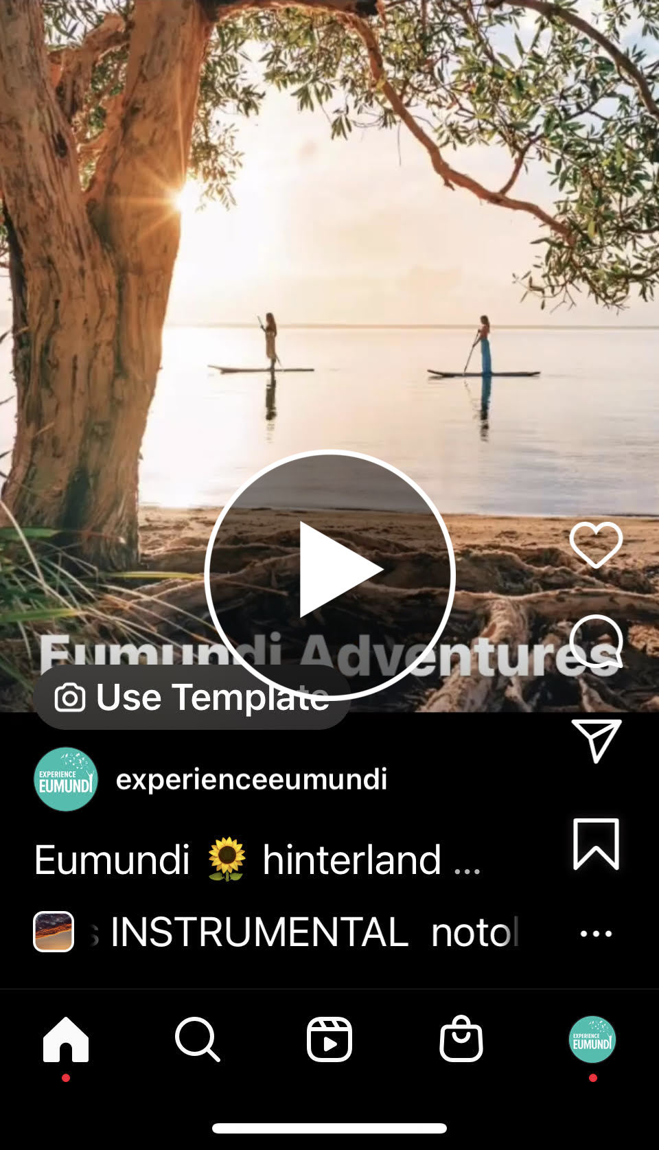 adventure eumundi