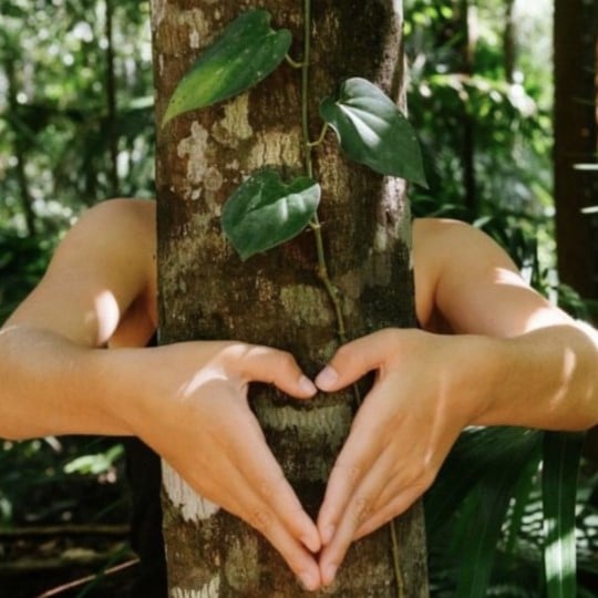 Plastic Free Eumundi Markets