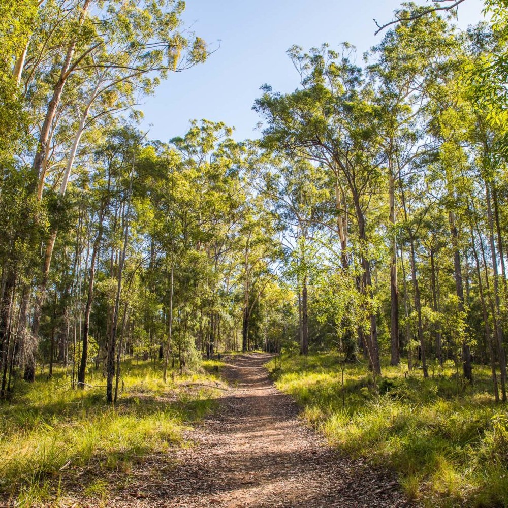 Eumundi Conservation Park